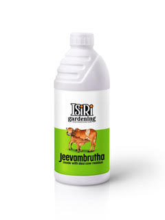 JEEVAMRUTHA - made to order (4 day delivery)